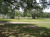Enlarge photo 64