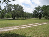 Enlarge photo 63