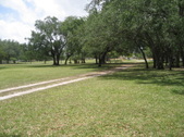 Enlarge photo 62