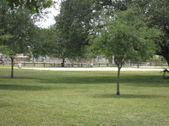 Enlarge photo 65