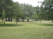 Enlarge photo 66