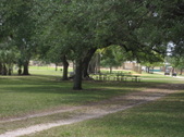Enlarge photo 67