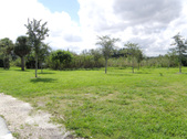 Enlarge photo 58