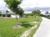 Enlarge photo 59