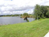 Enlarge photo 62