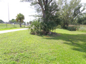 Enlarge photo 65