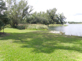 Enlarge photo 64