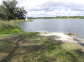 Enlarge photo 67