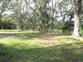 Enlarge photo 70