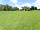 Enlarge photo 18