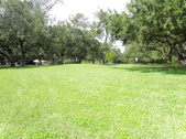Enlarge photo 31