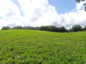Enlarge photo 35