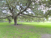 Enlarge photo 43