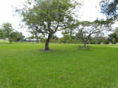 Enlarge photo 44