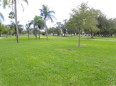 Enlarge photo 46