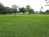 Enlarge photo 45
