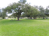 Enlarge photo 47