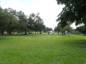 Enlarge photo 48