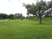 Enlarge photo 49