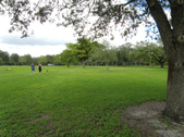Enlarge photo 51
