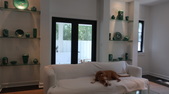 Enlarge photo 46