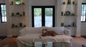 Enlarge photo 47