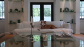 Enlarge photo 48