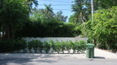 Enlarge photo 56
