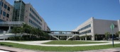 Buzz building