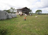 Enlarge photo 4
