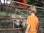 Enlarge photo 32