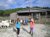 Enlarge photo 31