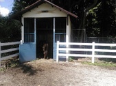 Enlarge photo 5