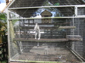 Enlarge photo 31
