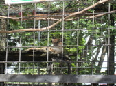 Enlarge photo 36