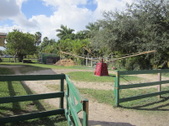 Enlarge photo 42
