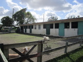 Enlarge photo 40