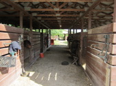 Enlarge photo 43