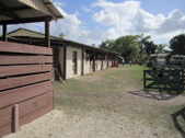 Enlarge photo 41