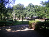Enlarge photo 41