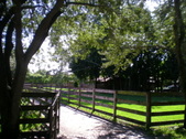 Enlarge photo 47