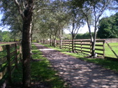 Enlarge photo 48