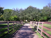 Enlarge photo 49