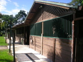 Enlarge photo 52