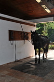 Enlarge photo 35