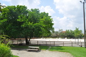 Enlarge photo 34