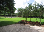 Enlarge photo 41