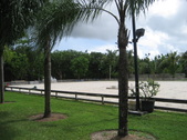 Enlarge photo 43