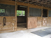 Enlarge photo 51