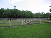 Enlarge photo 54